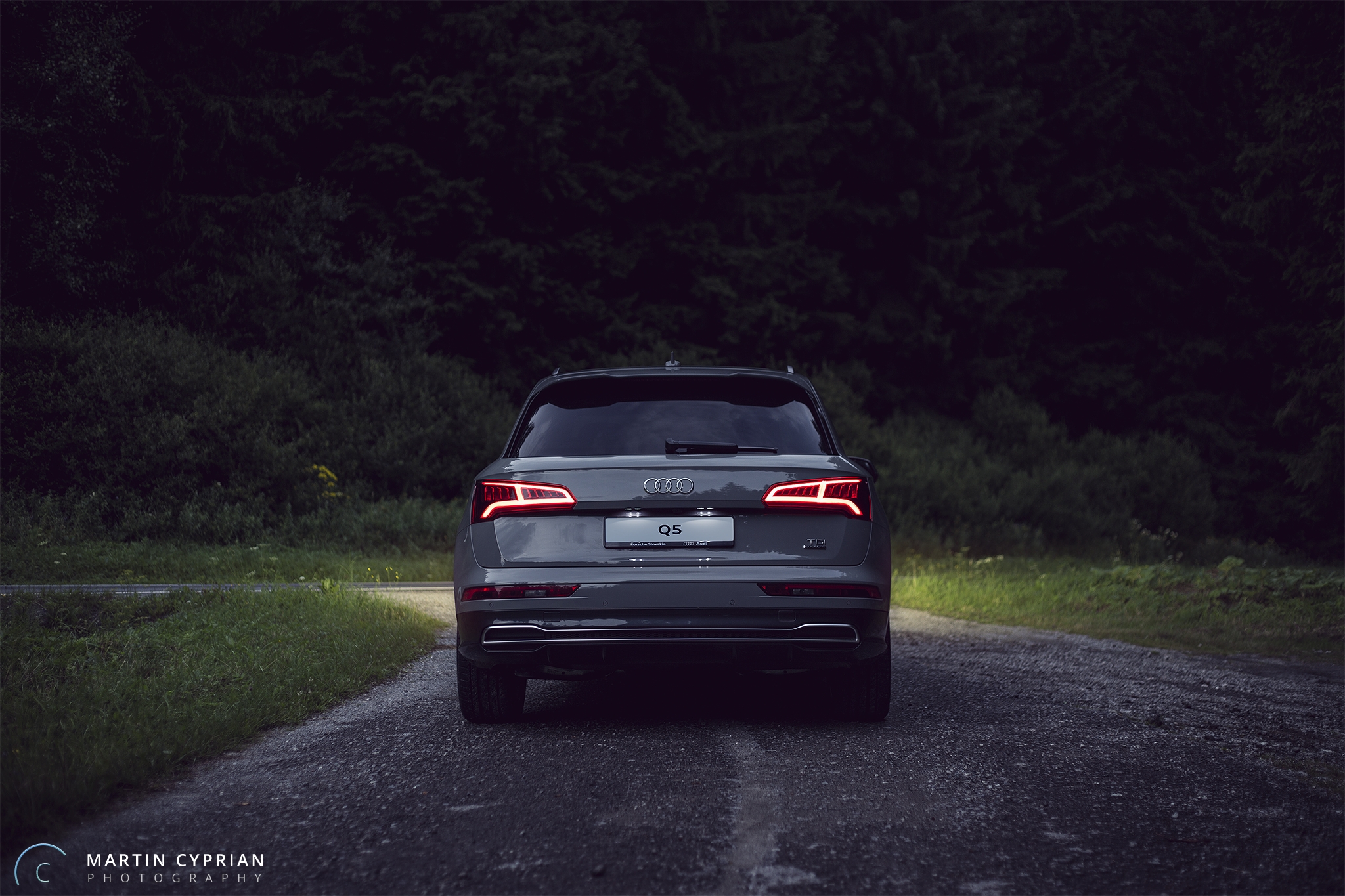 Audi Q5 2017 (4).jpg